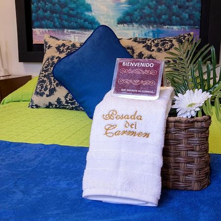 Hotel Posada Del Carmen سان لويس بوتوسي المظهر الخارجي الصورة