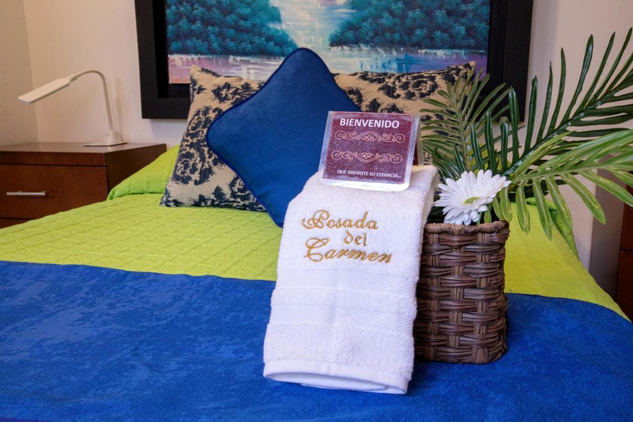 Hotel Posada Del Carmen سان لويس بوتوسي المظهر الخارجي الصورة