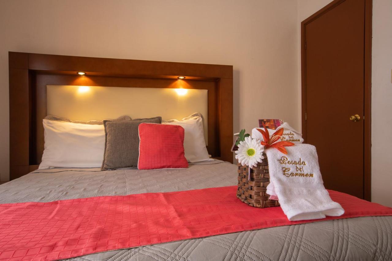 Hotel Posada Del Carmen سان لويس بوتوسي المظهر الخارجي الصورة