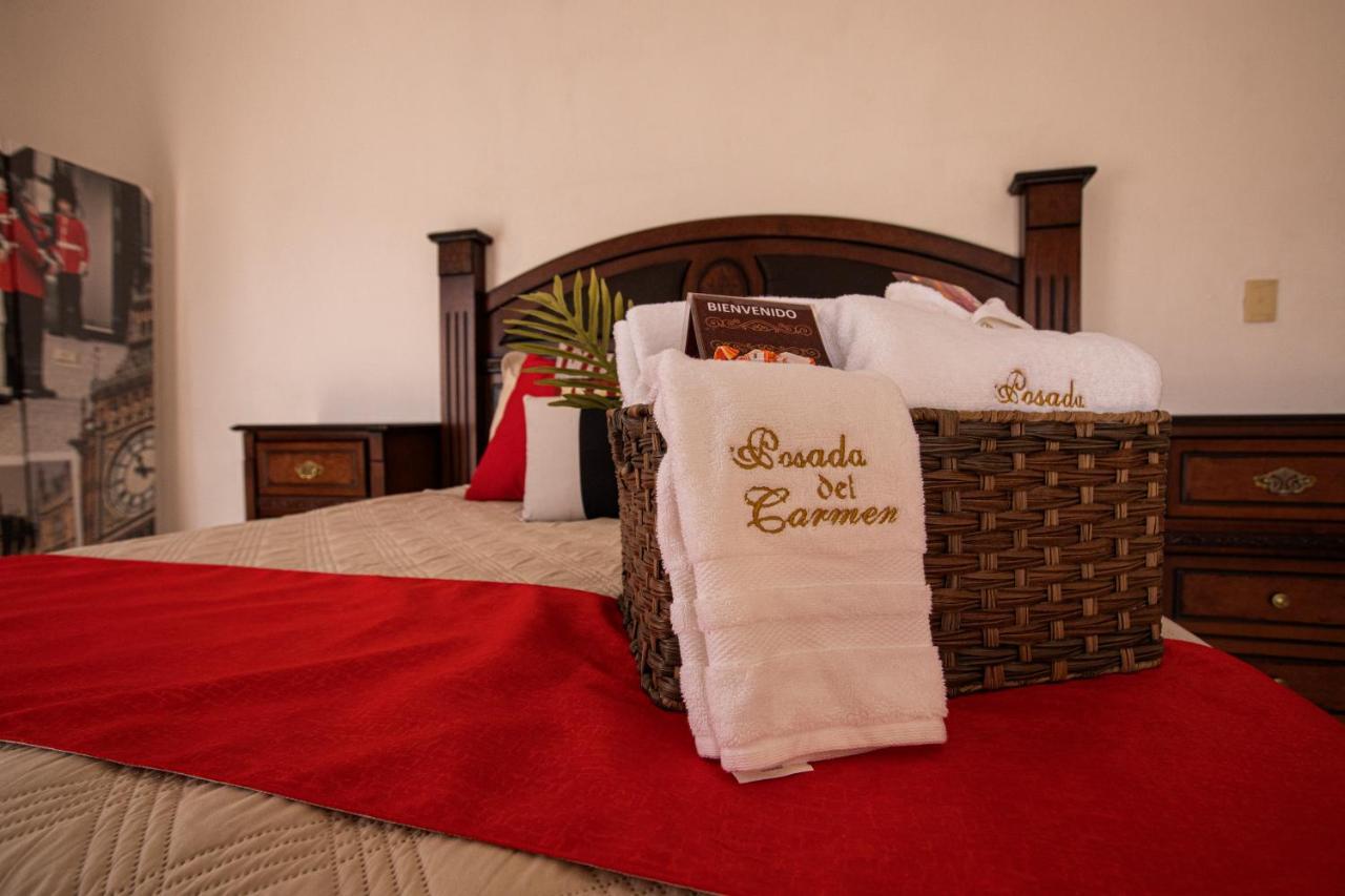 Hotel Posada Del Carmen سان لويس بوتوسي المظهر الخارجي الصورة