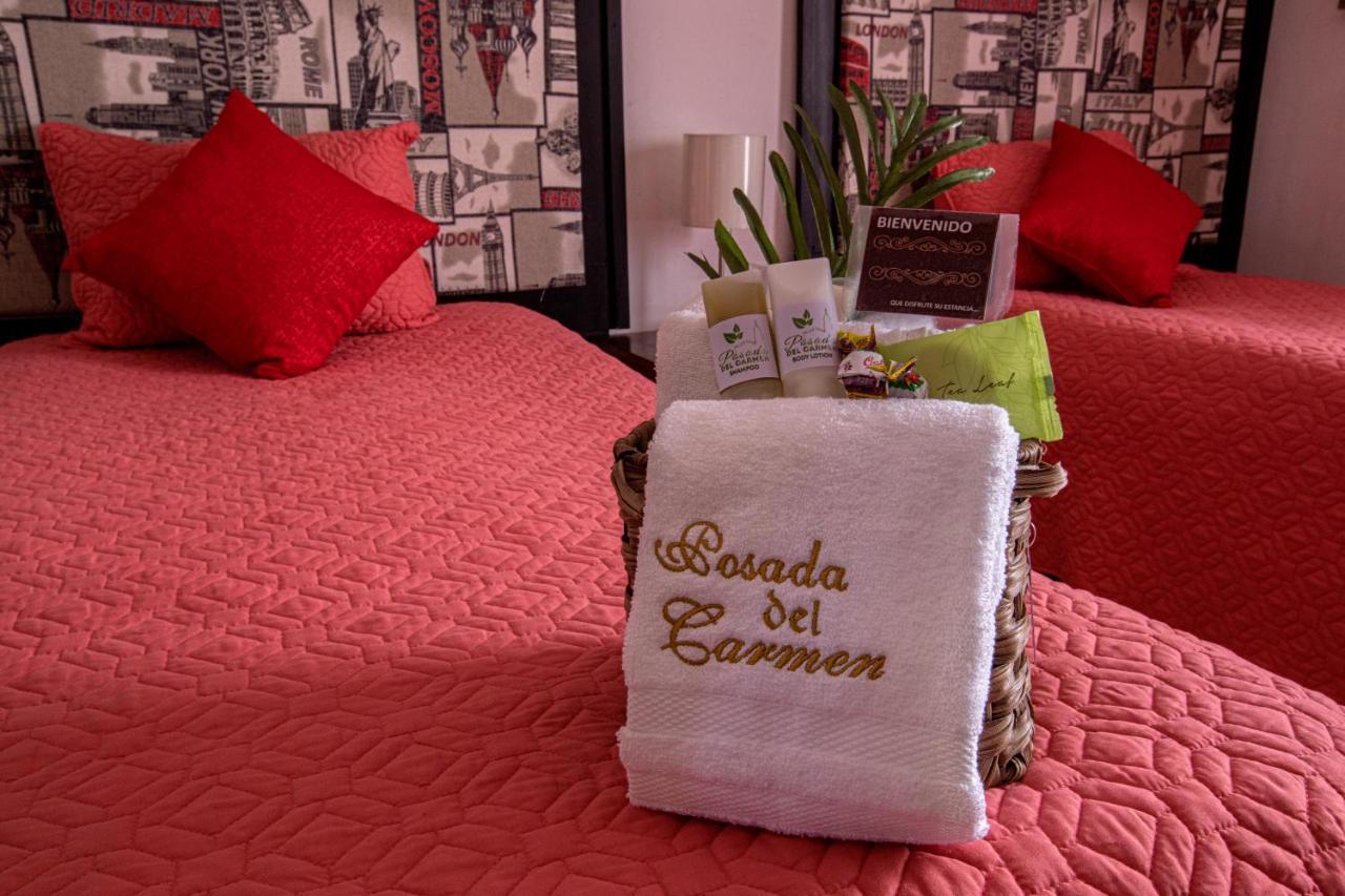 Hotel Posada Del Carmen سان لويس بوتوسي المظهر الخارجي الصورة