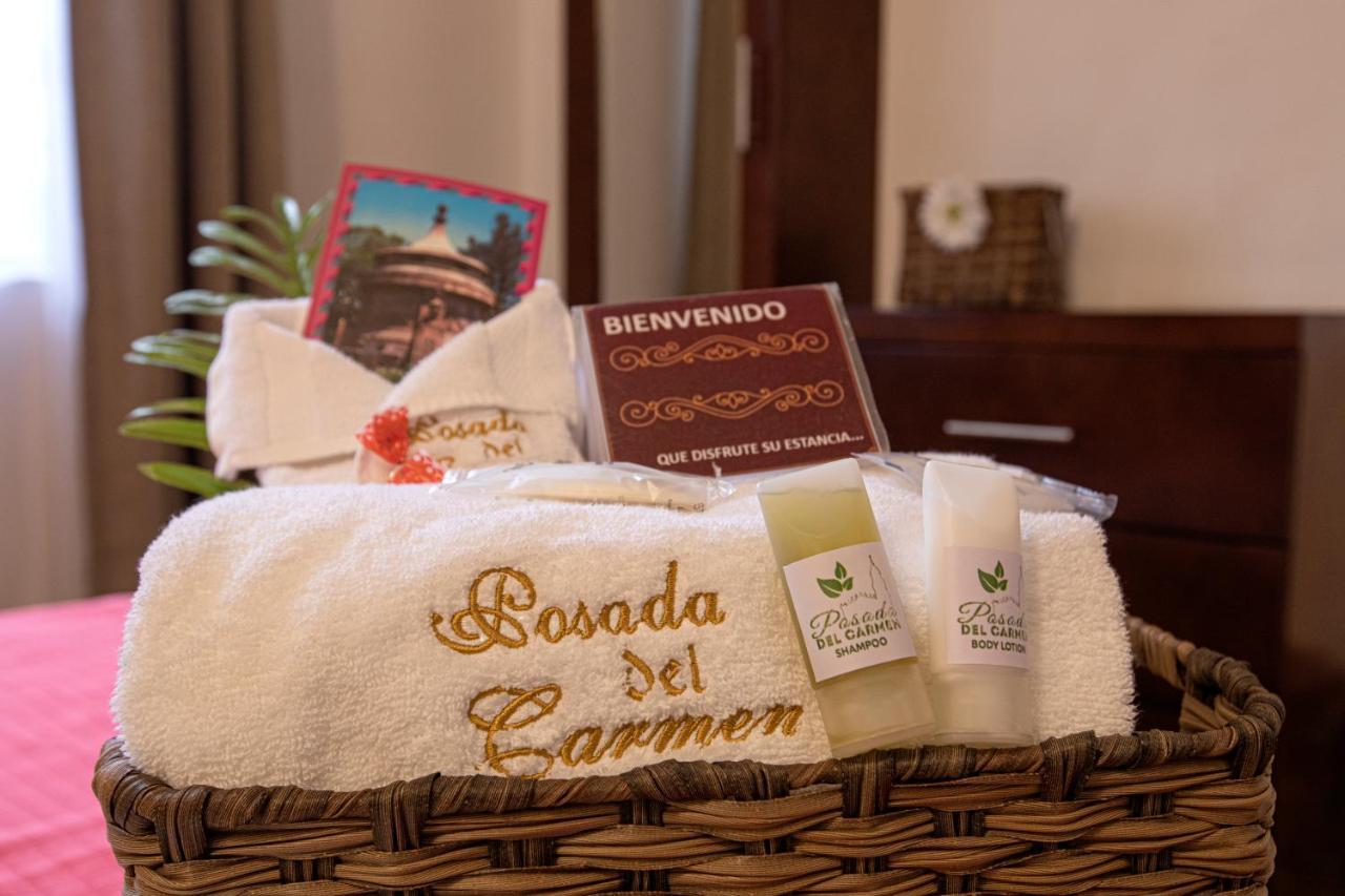 Hotel Posada Del Carmen سان لويس بوتوسي المظهر الخارجي الصورة